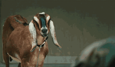 1Speedman - @koifish: