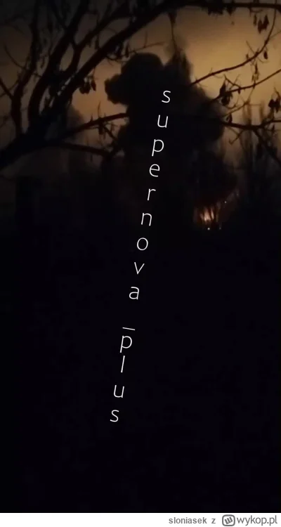 sloniasek - Ale ładnie jebło