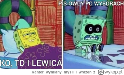 Kantorwymianymysliiwrazen - ( ͡° ͜ʖ ͡°)
#bekazpisu #heheszki #wybory #polityka