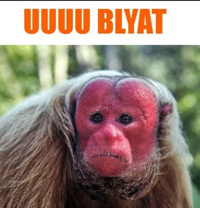 bartek-kowalski-12 - @dondada