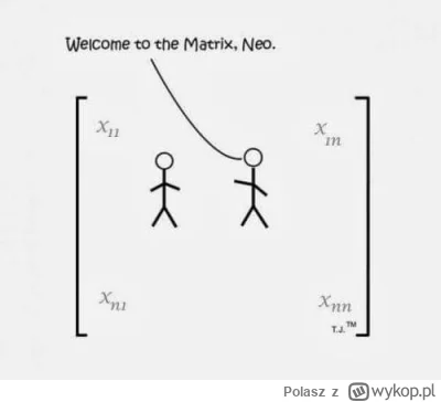 Polasz - #pasjonaciubogiegozartu #matematyka