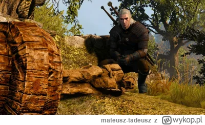 mateusz-tadeusz - Geralt by się #!$%@?ł.