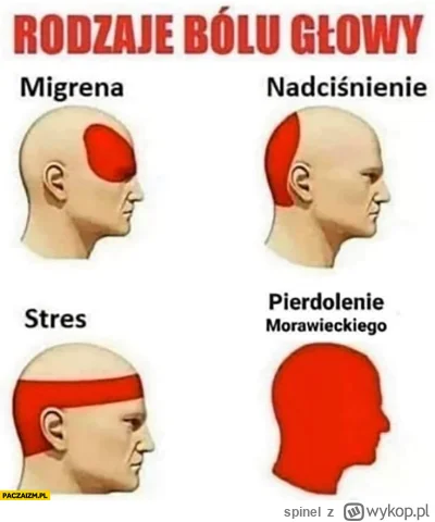 spinel - #sejm #polityka