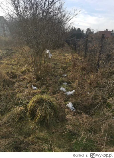 Konkol - Mieszkam na osiedlu domków jednorodzinnych i obok mnie są dwie działki, któr...