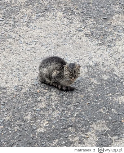 matrasek - @matrasek: czy to nie jest "pozycja bólowa"?