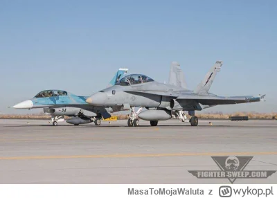 MasaToMojaWaluta - @cieciowy: no patrz, Finowie uzywaja F-18 z lądowisk na drogach, a...