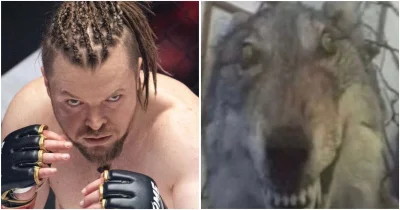 BezLitosci - #famemma