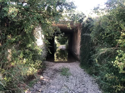 ChlopoRobotnik2137 - A na koniec będzie kąpiel pod mostem