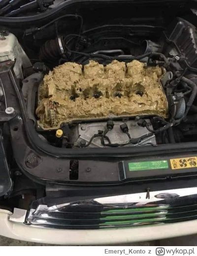 Emeryt_Konto - 7 litrow plynu do spryskiwaczy w silnik