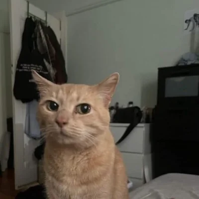 PorzeczkowySok - przyjaciół tłum niech zrobi szum, że będę żyć, że zły los to nic