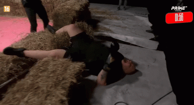 alljanuszx - stary wstał

#primemma