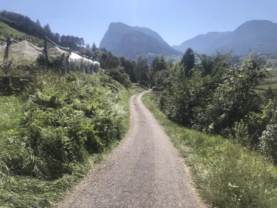 ChlopoRobotnik2137 - Słońce i górki robią swoje => miałem kilka kryzysów