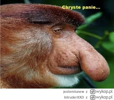 IntruderXXD - @wargi-sromowe-mniejsze: