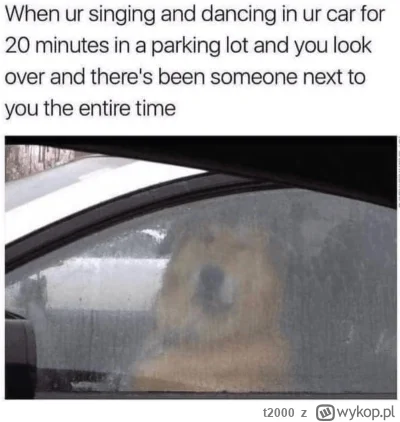 t2000 - Najgorzej jak se puści w aucie ulubioną piosenkę 
#humorobrazkowy #heheszki
