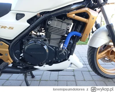 loremipsumdolores - @Gandezz: maluj na czarny wydech sprayem temperaturowym te alumin...