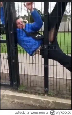 zdjeciezwenszem - @wscieklykabanos: xD