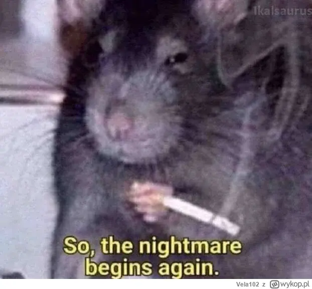 Vela102 - Proszę wziąć numerek i zapraszam do pomieszczenia z maszyną losującą

#giel...