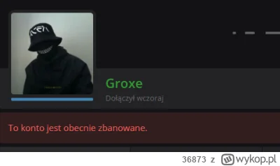 36873 - Ciekawe za co ban? Miałem podejrzenia, że @Groxe i @wykop to multikonto jak z...