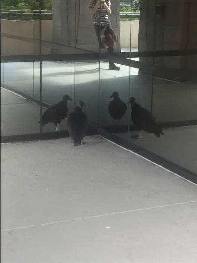 NicolasLatifi - @TigerBenzo88: "my wiemy jak jest"