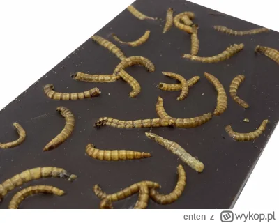 enten - Poczekajcie aż odkryjecie ile białka w czekoladzie mlecznej pochodzi z robakó...