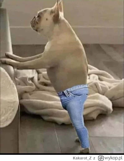 Kakarot_Z - Fajne te gatki,takie nie za luźne 
@seltis: na to musisz sobie sam/sama o...