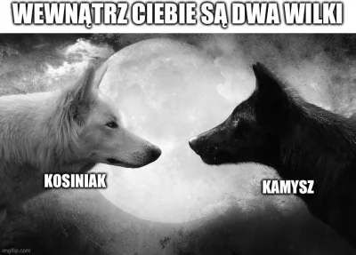 Wokawonsky - #heheszki #humorobrazkowy
#wybory #psl #kosiniakkamysz
#konfederacja