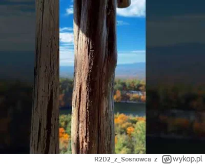 R2D2zSosnowca - @R2D2zSosnowca ʕ•ᴥ•ʔ