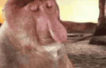 remlezar - #przegryw 

Dobranoc