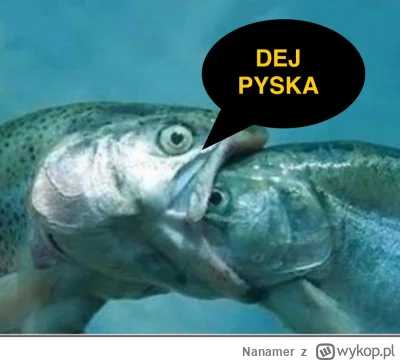 Nanamer - #hotelparadise apropos pocałunku Karolaków co go niby nie pokazali w tv