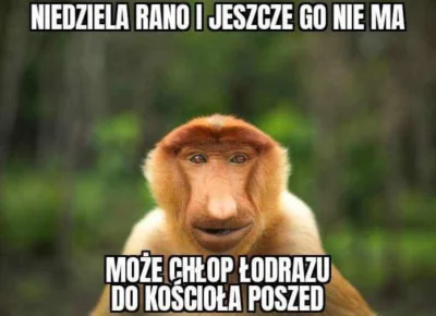 paczelok - Łobudzony kosztem niewielkim #dziendobry #konkursnanajbardziejgownianymemz...