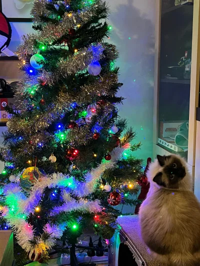 Tyrande - #grajzkitku

Mamy niedzielę, to mamy kolejną zabawę z kitku. 
A jako, że po...