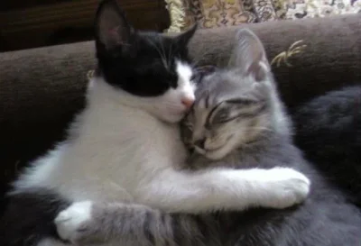 tomasz_mazur - Ja i kto?

#przegryw