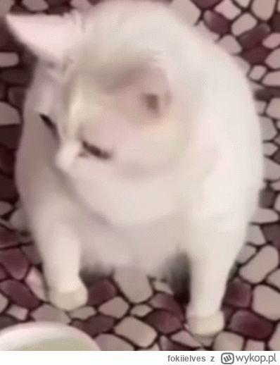 fokiielves - @Cesarz_Polski:
