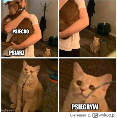Gieremek - @Anthermil: wszystkich na czarno powrzucaj to na pewno coś zobaczysz xD
W ...