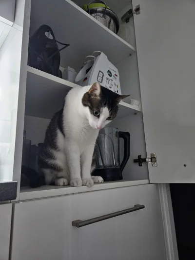 zero-jeden - Kombajn do smaczkow.