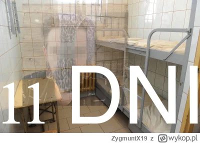 ZygmuntX19 - #kononowicz #patostreamy