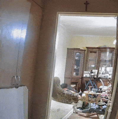 bizzi0801 - #danielmagical #patostreamy