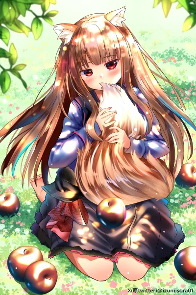 LatajacaPapryka512 - mofu mofu (づ•﹏•)づ
#holo #spiceandwolf #anime #randomanimeshit