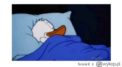 SosieX - (⌐ ͡■ ͜ʖ ͡■)
#f1