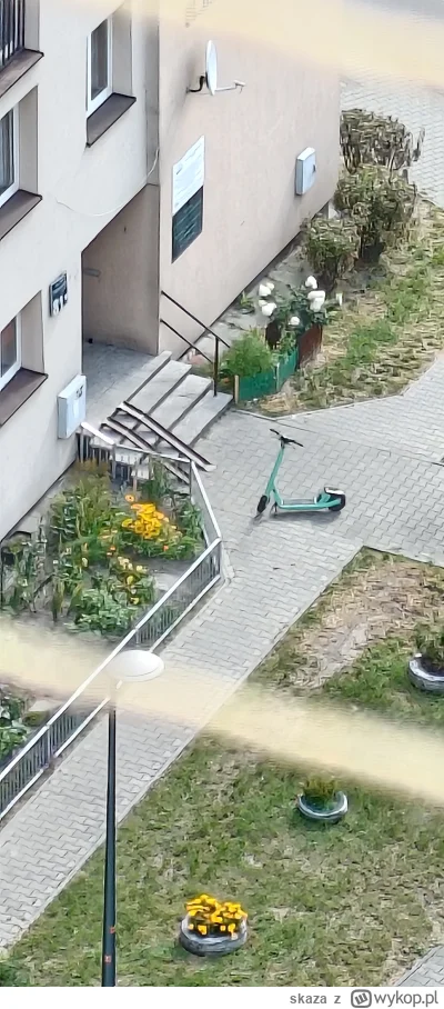 skaza - #tychy #hulajnoga głupota, brak rozsądku? Czy celowe utrudnianie?