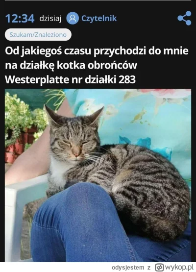 odysjestem - #fredikamionka prawdziwy kot bojowy