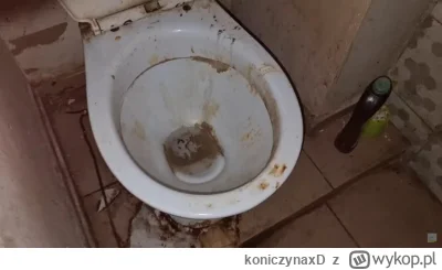 koniczynaxD - Co to za fasaczita, ja p------e. Siedzi na Złotej 44 a w Toruniu miała ...