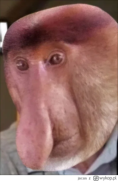 jacas - Meta przeskoczyła MSFT u mnie w portfelu

#gielda