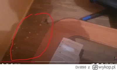 Drill90 - Ja p------e, nie....

#bonzo