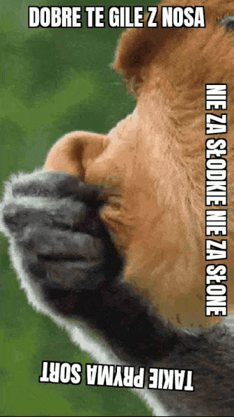 kinson - NIe wyrzucaj tej chusteczki Pjoter. Jeszcze się łojciec w niom wysmarcze
#ko...