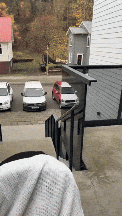 wfyokyga - Białe czy czerwone?