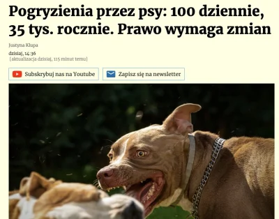 cichy-spokojny-grzeczny - No i paczcie wykopki, wjeżdżamy powoli w mainstream. Teraz ...
