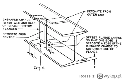 Roess - >w grze komputerowej

@PopeLeon: @popeye8520 

Wymyślono coś takiego jak "gry...