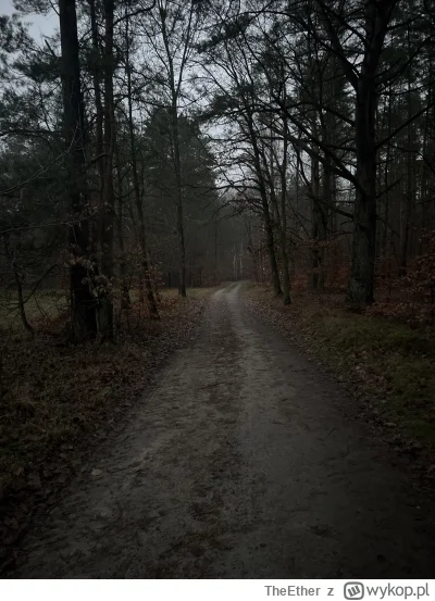 T.....r - piekny spacerek po mokradlach ( ͡° ͜ʖ ͡°) #szczecin