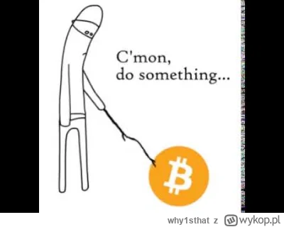 why1sthat - No dajesz bo nudno
#kryptowaluty #bitcoin